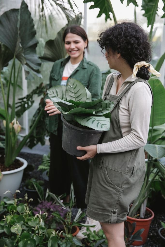 Positive ethnic female coworkers wearing uniforms standing with green deciduous flowers while working in hothouse with blooming plants in botanical garden
